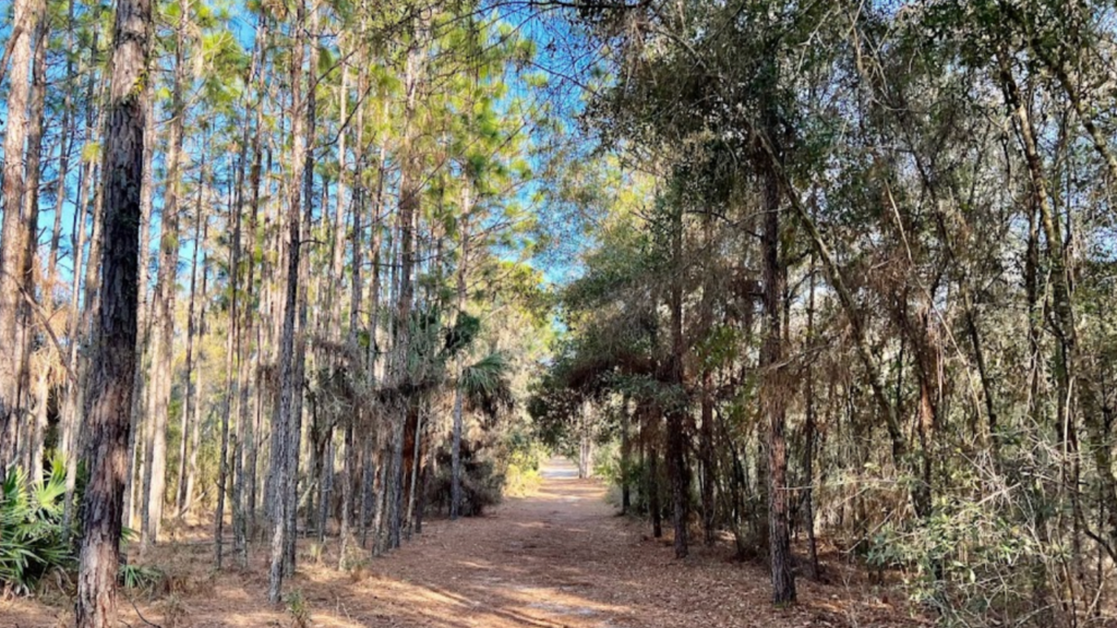 Nature trail at Lithia Springs Park Bloomingdale FL