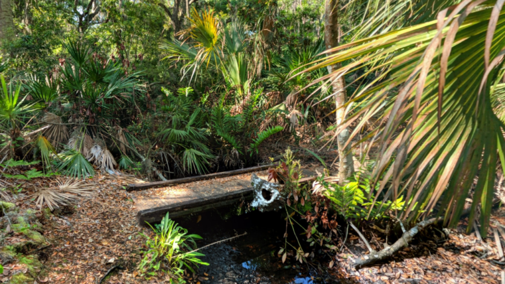 Pathway at the Alafia Scrub Nature Preserve Riverview FL